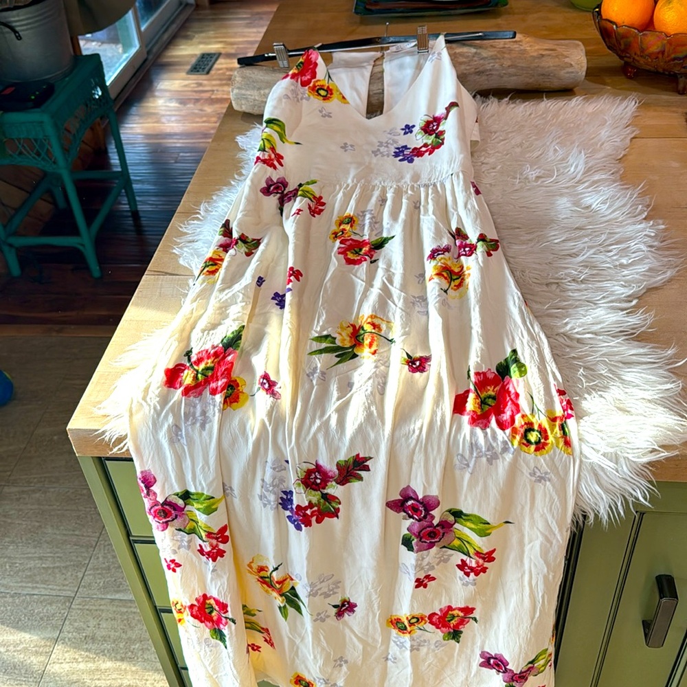 Trafulac Zara floral maxi dress